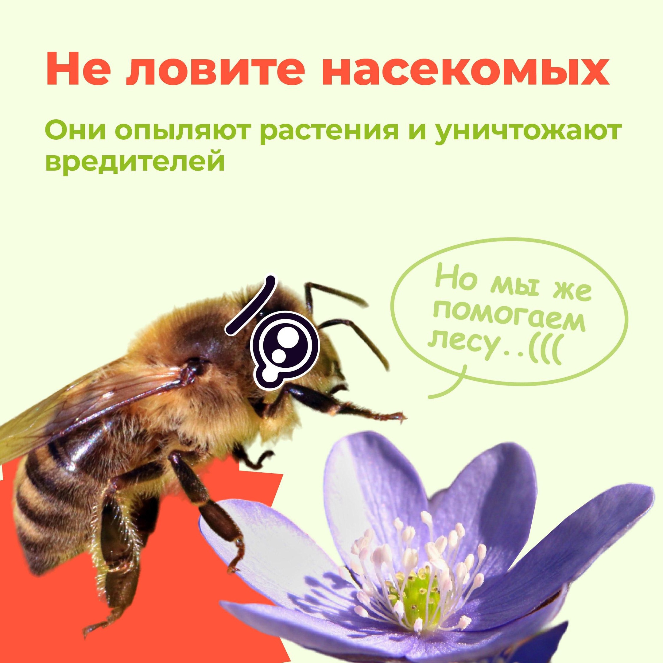 6 ZbKwf-umSYg.jpg